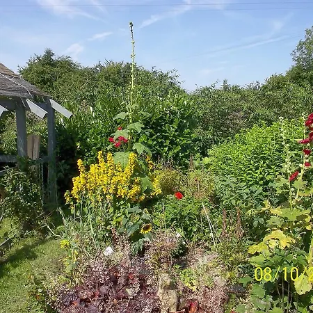 Bed & Breakfast Riverview 3*